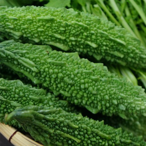 Hạt Giống Khổ Qua Trái Xanh F1 (Mướp Đắng) 3G