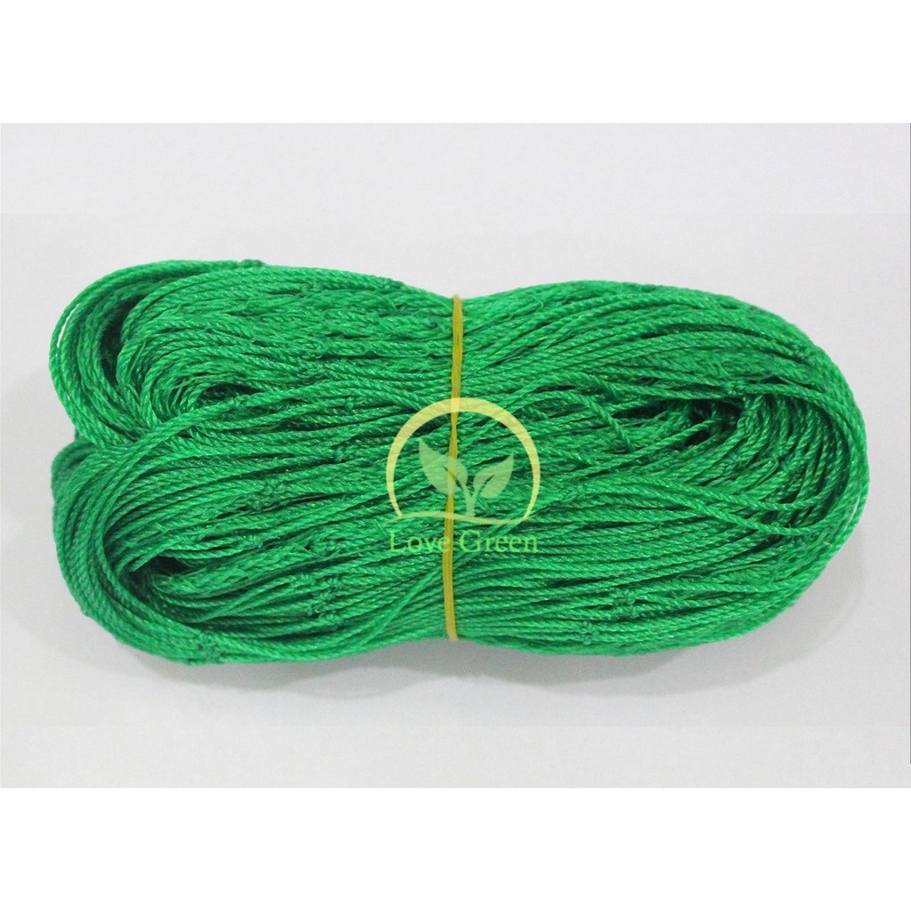 Lưới Giàn Dây Leo Rosa 2X3M