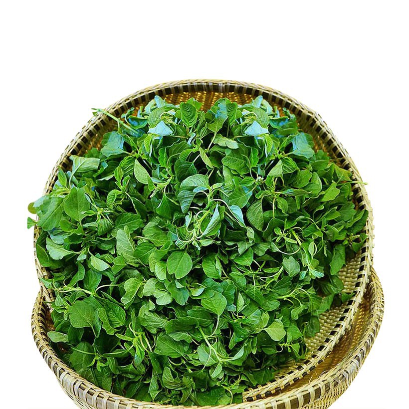 Hạt Giống Rau Dền Cơm 10G