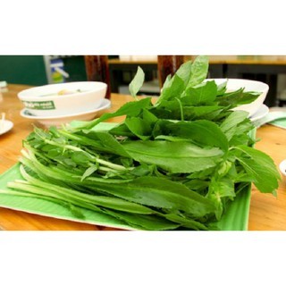 Hạt Giống Ngò Gai (Mùi Tàu) 5G