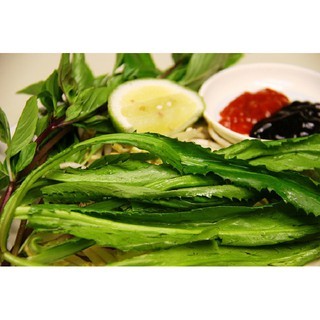 Hạt Giống Ngò Gai (Mùi Tàu) 5G