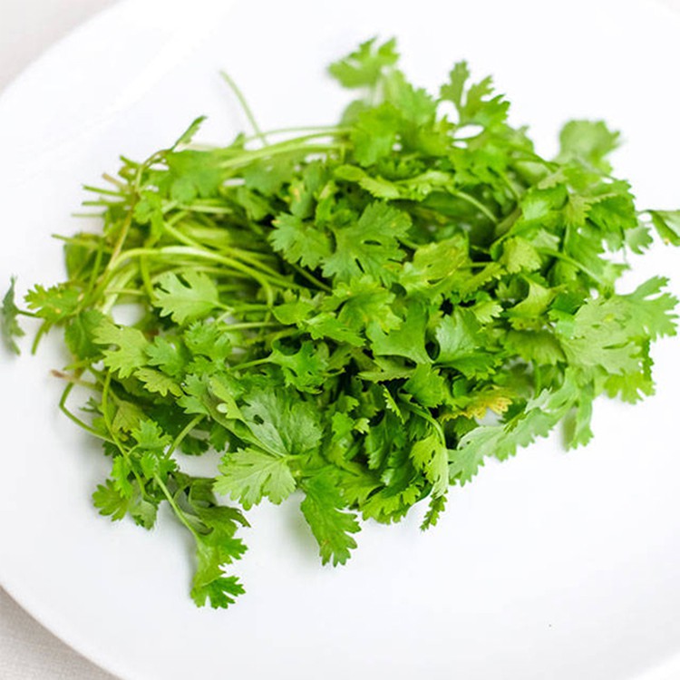 Hạt Giống Ngò Hạt Lớn Pháp 20G