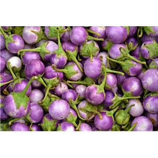 Hạt Giống Cà Pháo Tím 500Mg