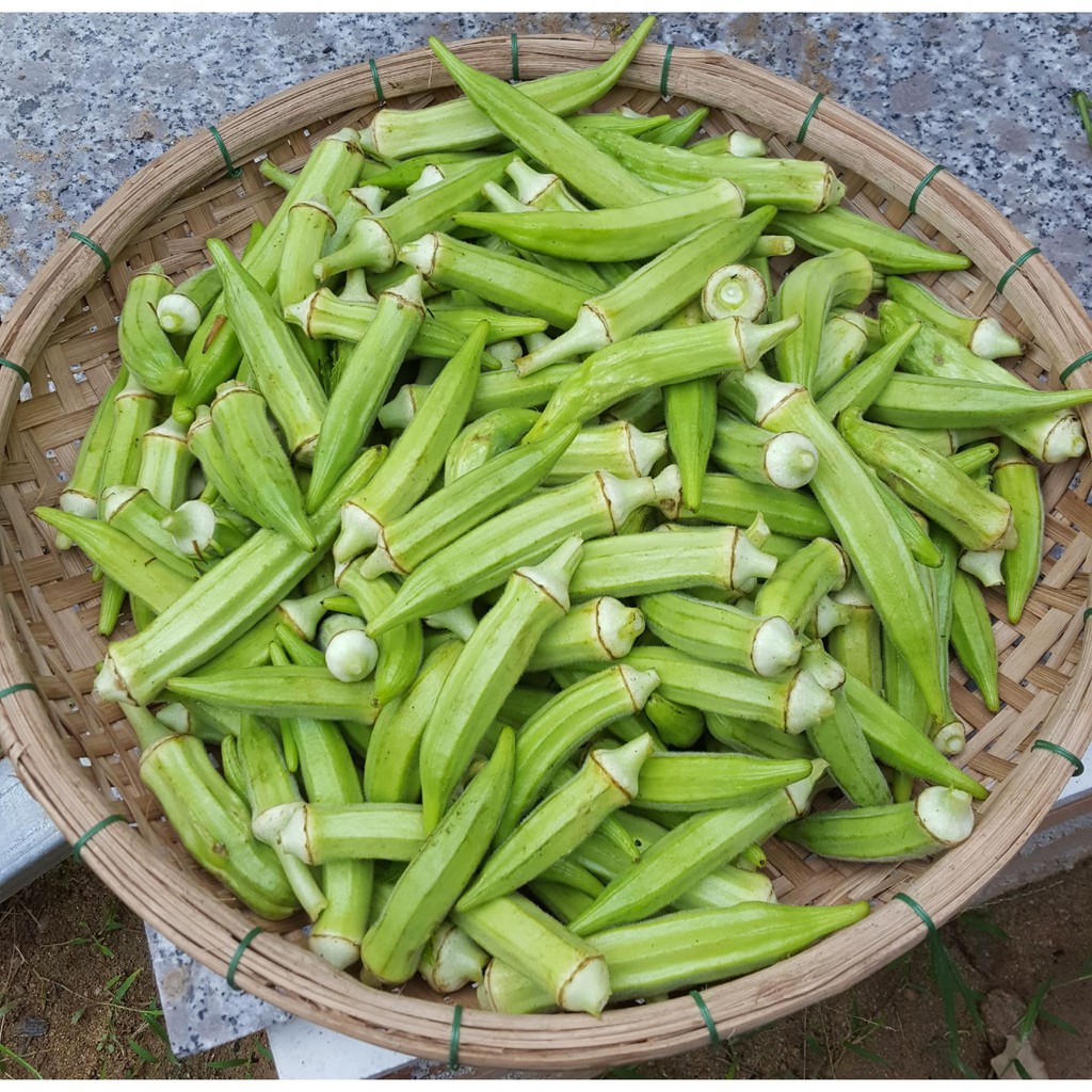 Hạt Giống Đậu Bắp 10G