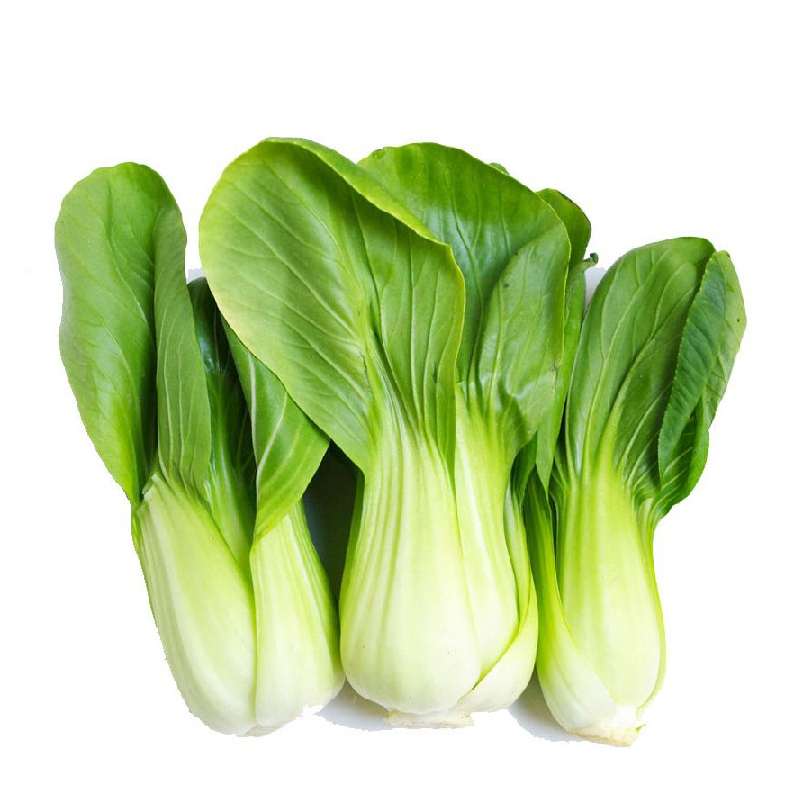 Hạt Giống Cải Bẹ Trắng