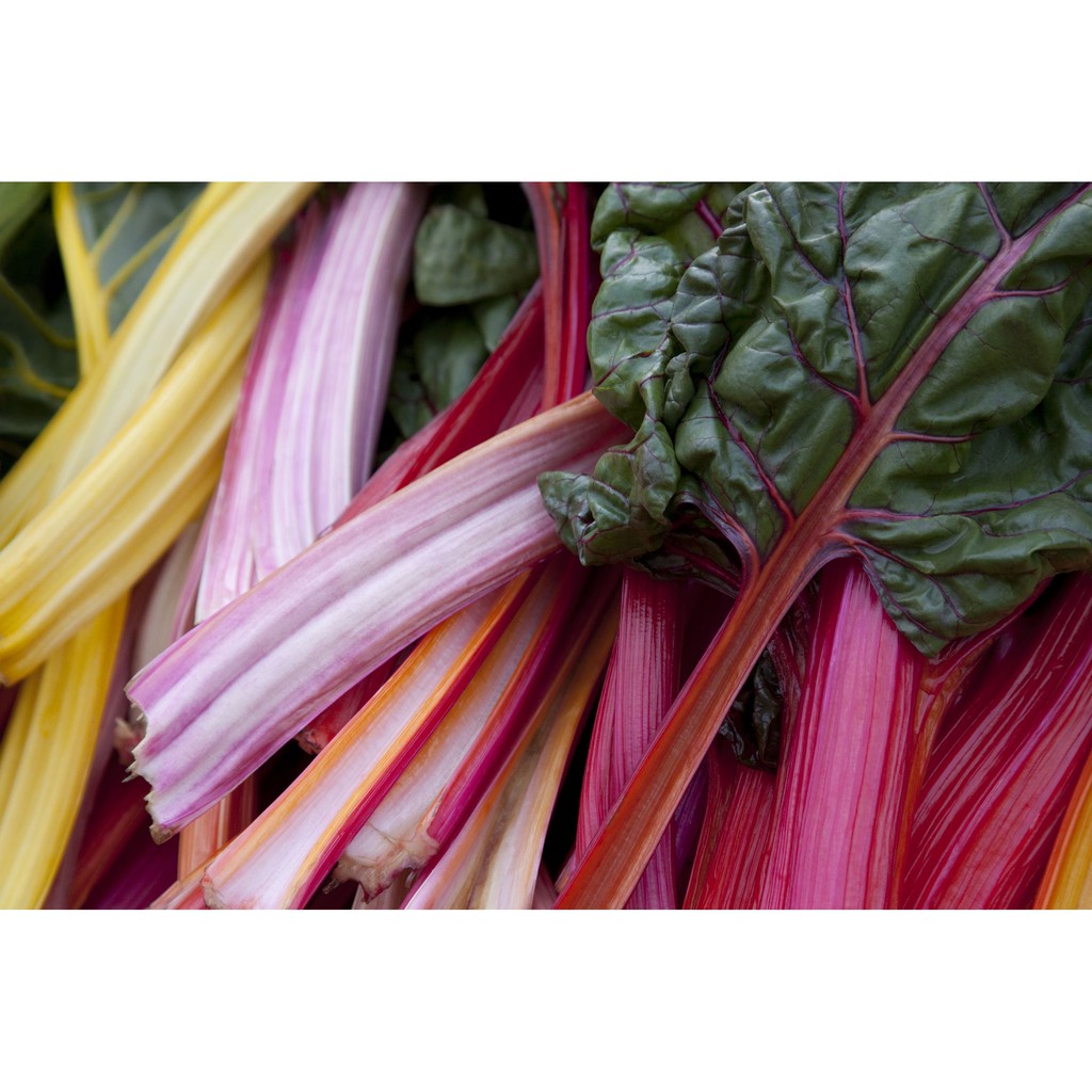 Hạt Giống Cải Cầu Vồng 10G