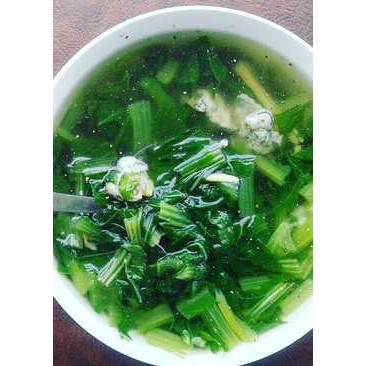 Hạt Giống Cải Thìa Cao Sản (Cải Chíp)