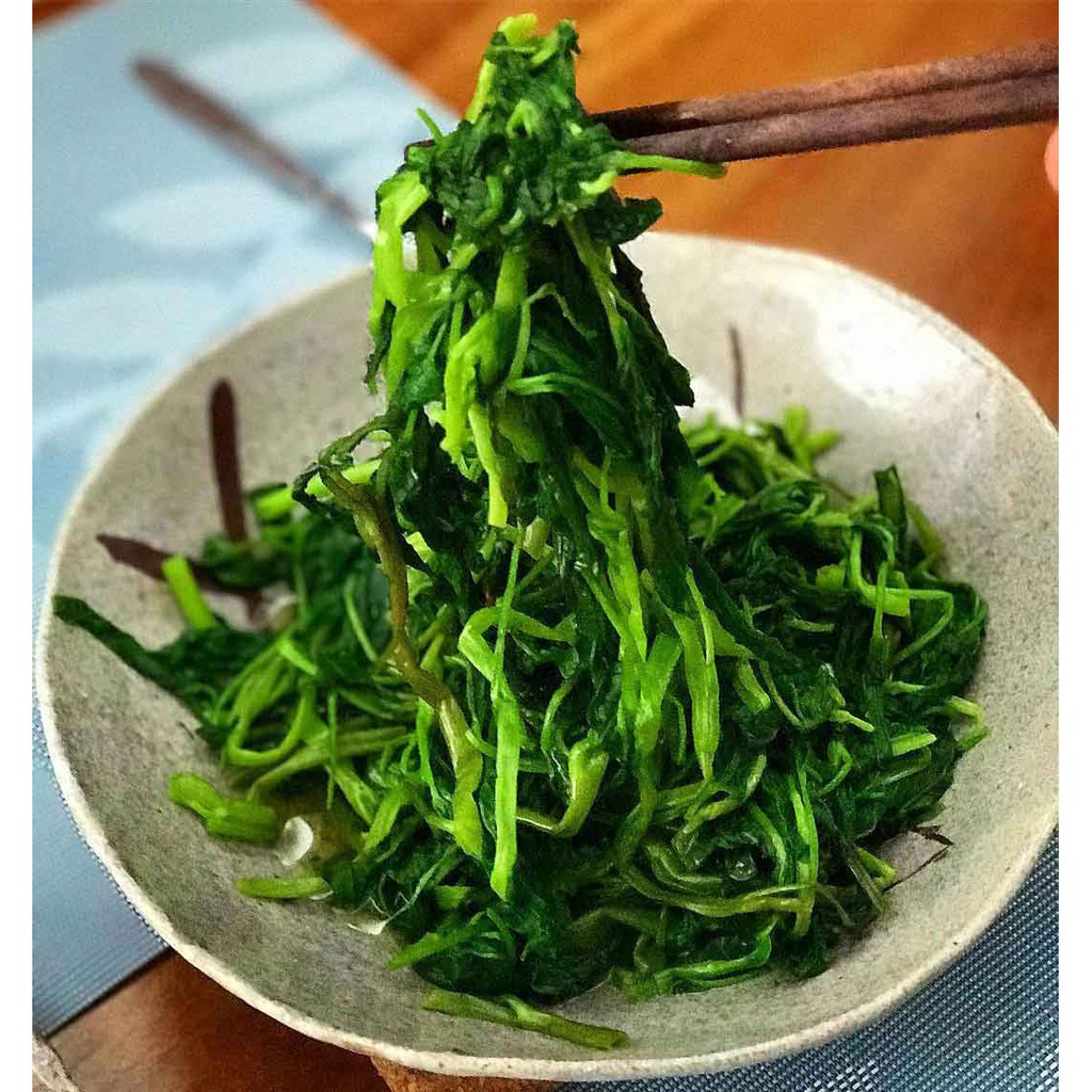 Hạt Giống Rau Muống Cao Sản