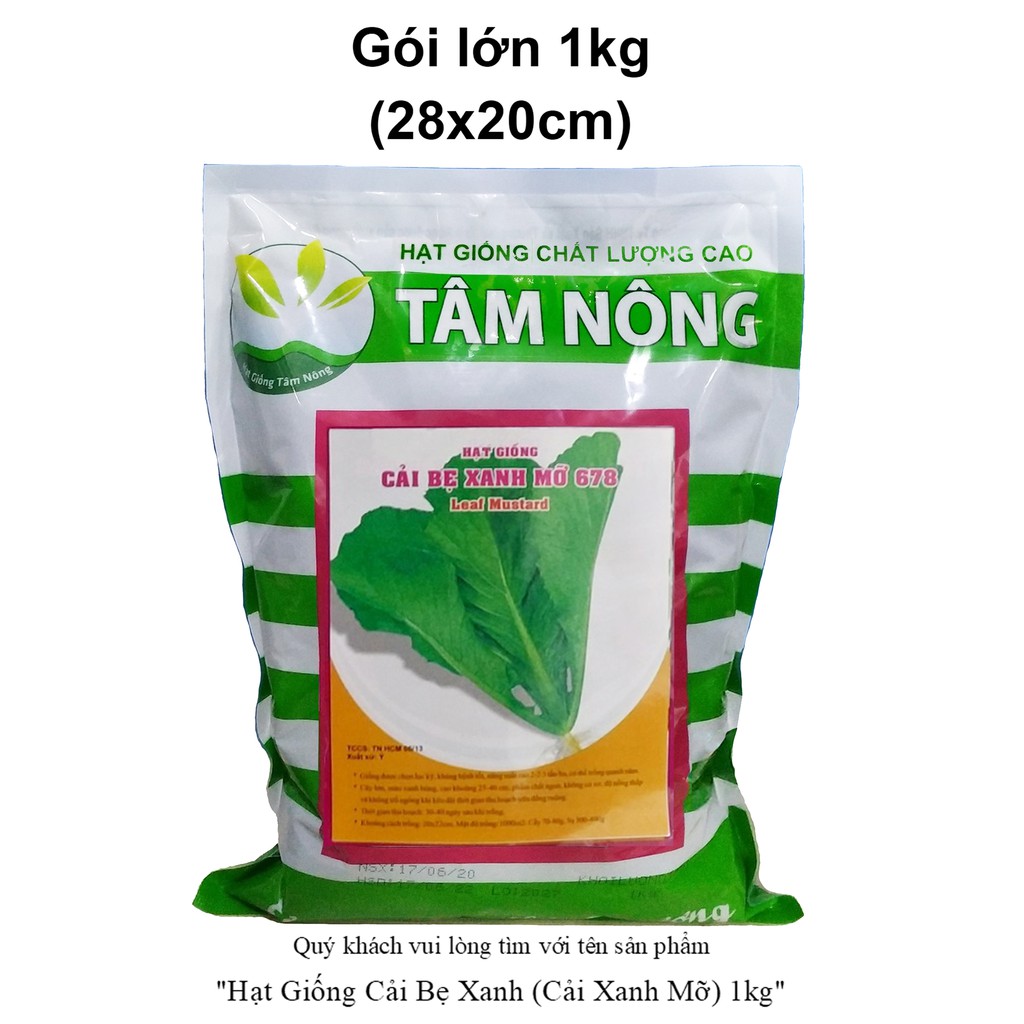 Hạt Giống Cải Bẹ Xanh (Cải Xanh Mỡ)