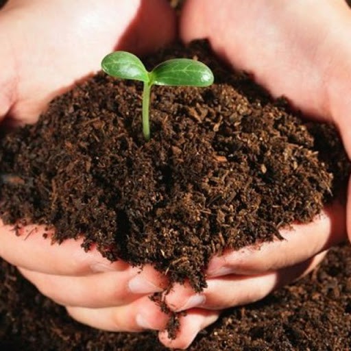 Giá Thể Mùn Dừa Đất H1 Hapigreen 800G (Trồng Rau Mầm + Thủy Canh)