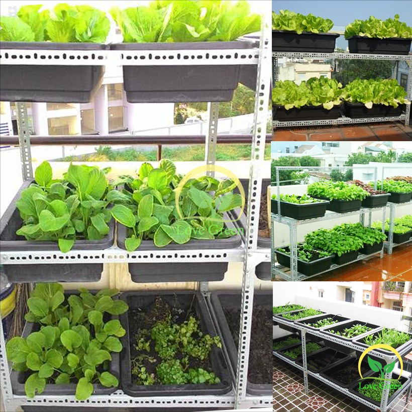 Khay Nhựa Trồng Rau Chữ Nhật TM-65 + Chậu Trồng Cây Thông Minh