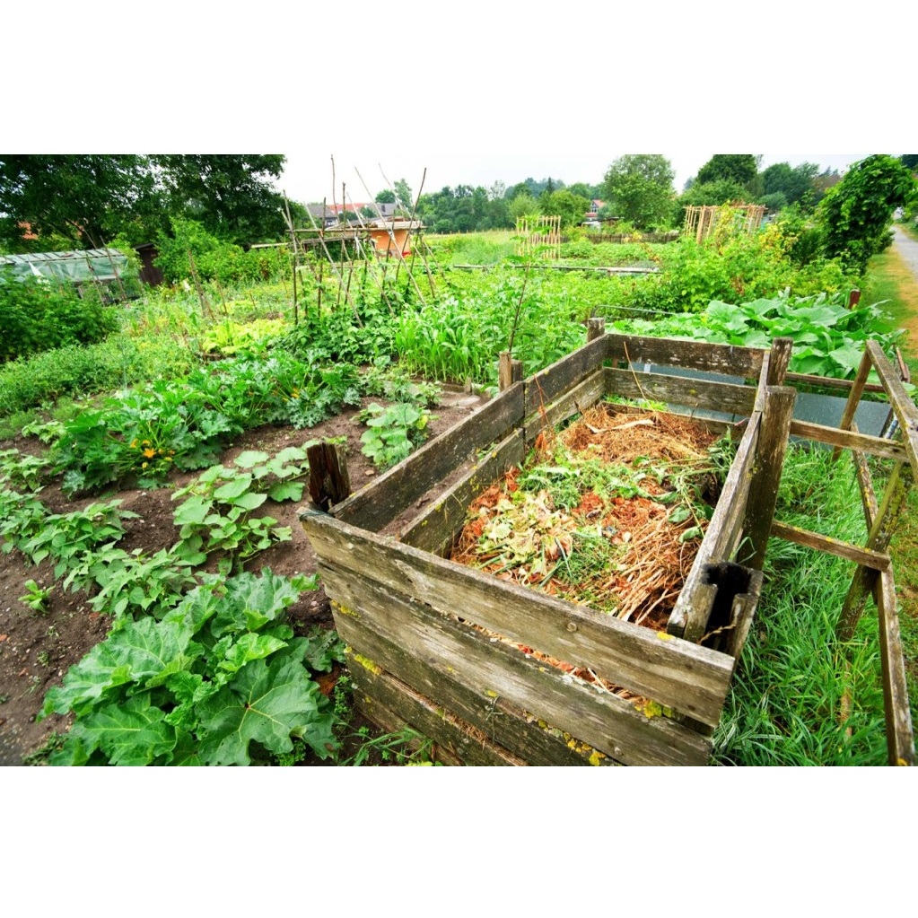 Ủ Phân Hữu Cơ Chế Phẩm Vi Sinh Vật Tks-M2 100G