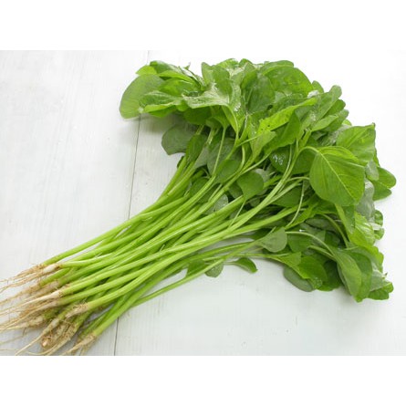 Hạt Giống Rau Dền Xanh Lá Tròn