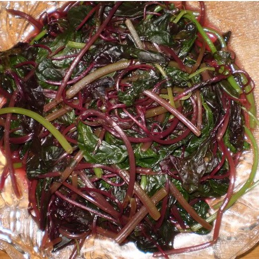 Hạt Giống Rau Dền Đỏ