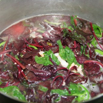 Hạt Giống Rau Dền Đỏ