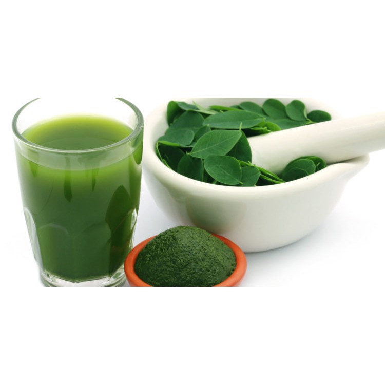 Hạt Giống Chùm Ngây 2G