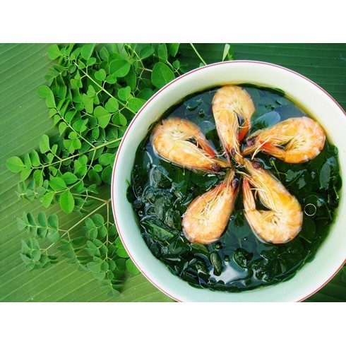 Hạt Giống Chùm Ngây 2G