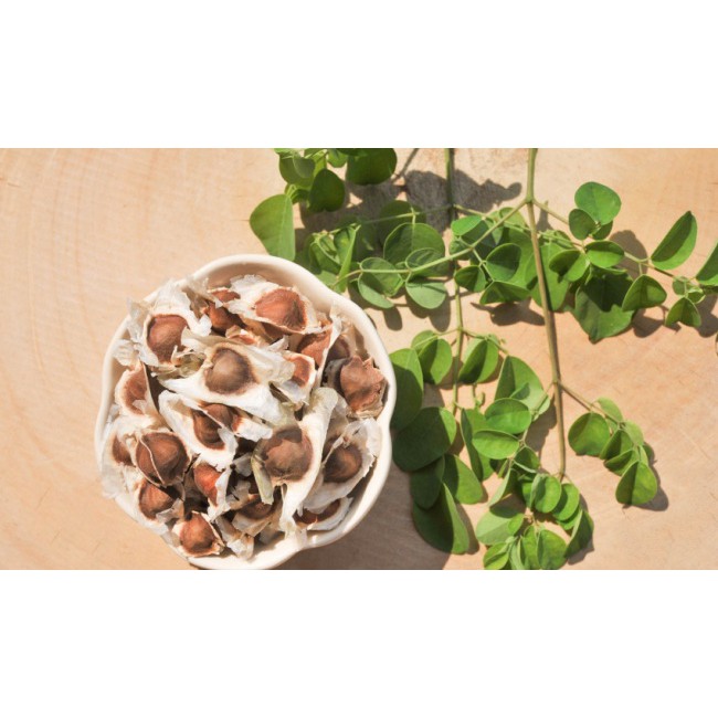 Hạt Giống Chùm Ngây 2G