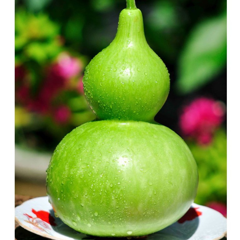 Hạt Giống Bầu Hồ Lô 1G