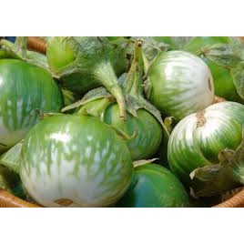 Hạt Giống Cà Dĩa Cao Sản 500Mg