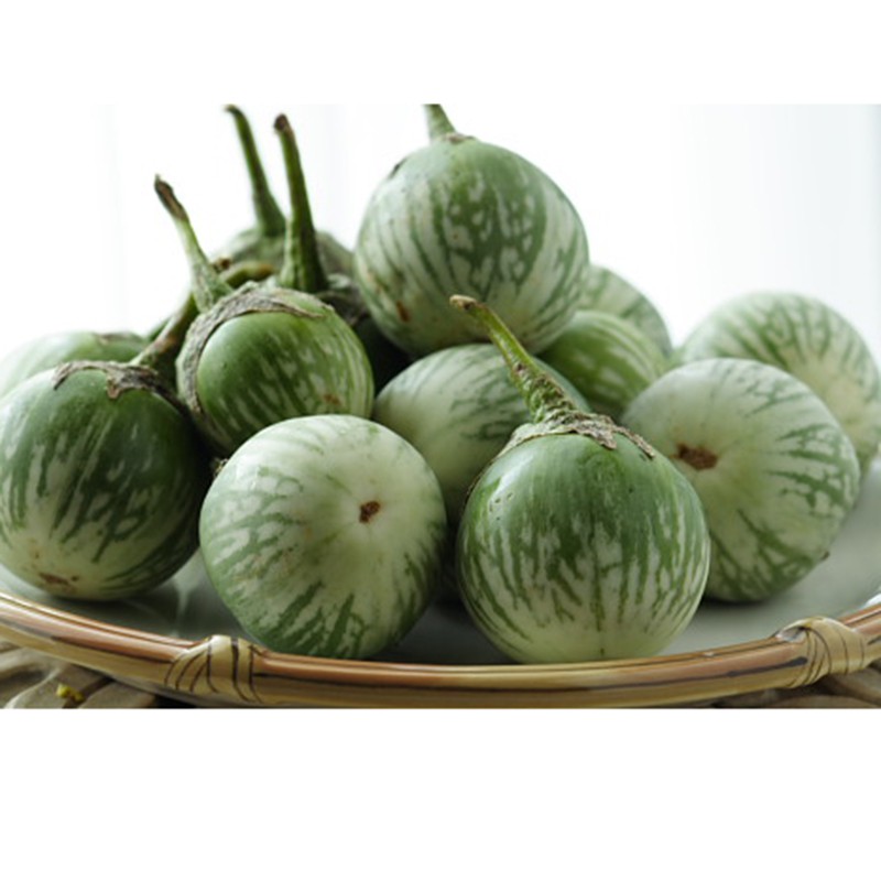 Hạt Giống Cà Dĩa Cao Sản 500Mg