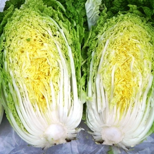 Hạt Giống Cải Thảo Yellow Head 1G