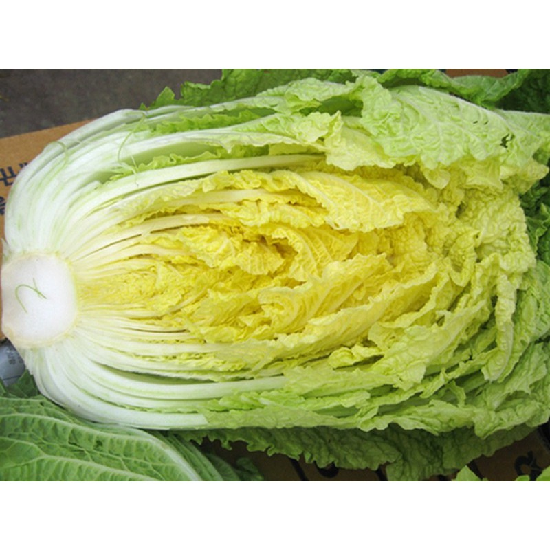 Hạt Giống Cải Thảo Yellow Head 1G