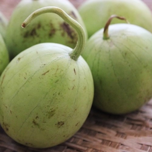 Hạt Giống Dưa Hấu Nụ 3G