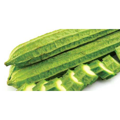 Hạt Giống Mướp Khía 1G