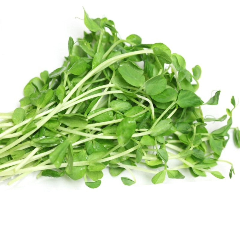 Hạt Giống Rau Mầm Đậu Hà Lan 50G