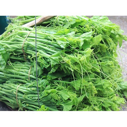 Hạt Giống Bí Ăn Ngọn 20G