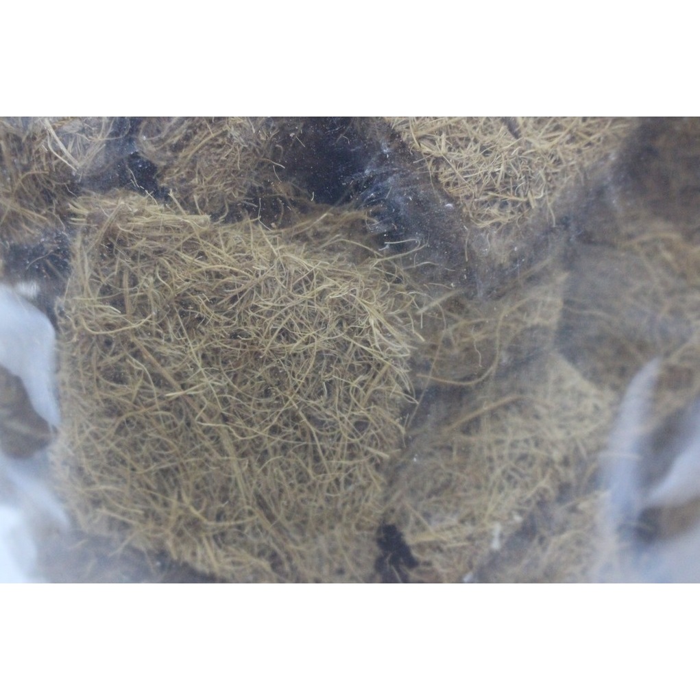 Xơ Dừa Trồng Lan +  Cây Kiểng Hapi Green 200G