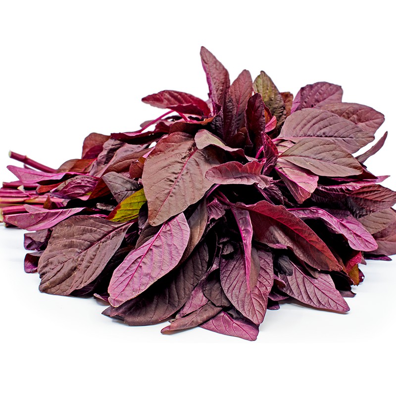 Hạt Giống Rau Dền Tiều