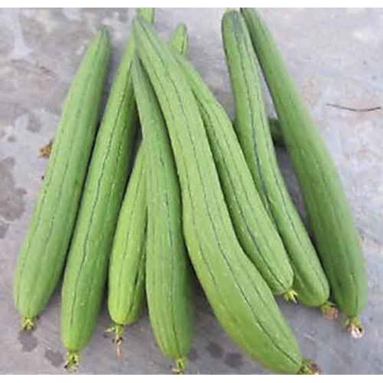 Hạt Giống Mướp Hương Trái Dài 1G