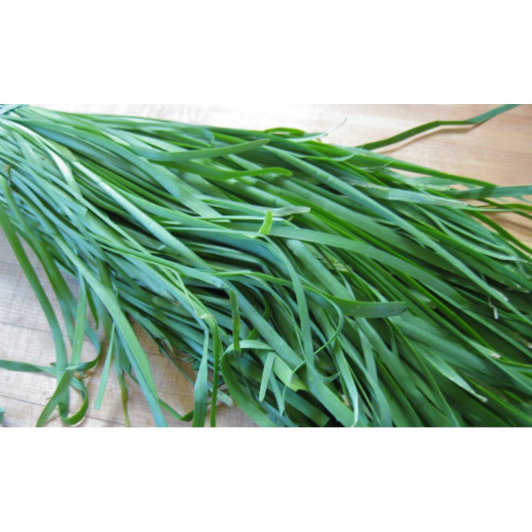 Hạt Giống Hẹ Cao Sản 2G