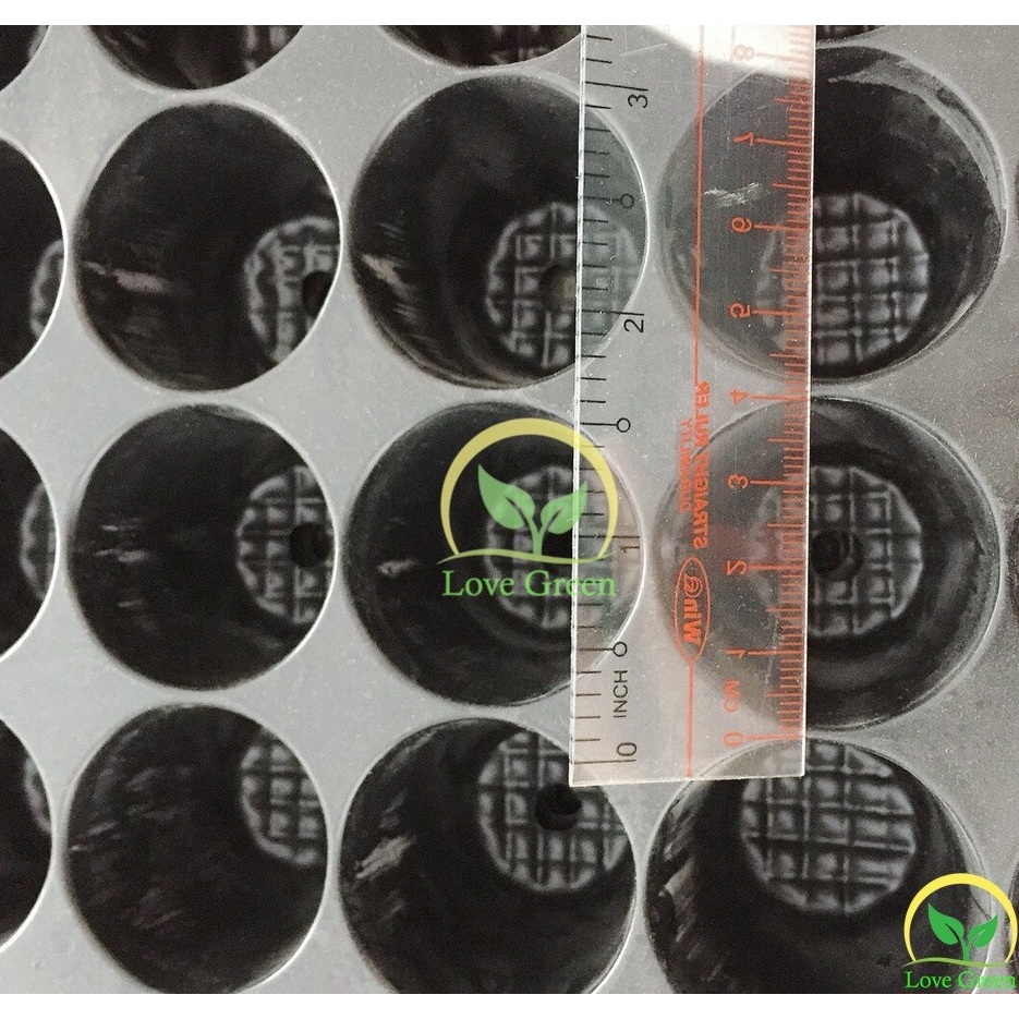 Bộ 5 khay Ươm, Vỉ Ươm Hạt Cây Con 104 Lỗ