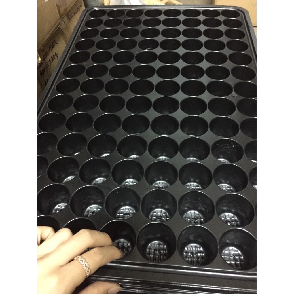 Bộ 5 khay Ươm, Vỉ Ươm Hạt Cây Con 104 Lỗ